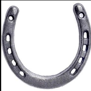 Cast Iron Horseshoe Art Sculpture